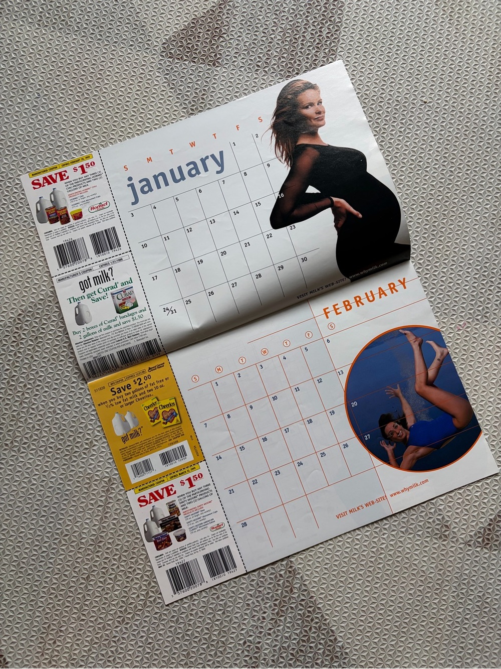 Milk Ad Brochure - 1999 Milk Mustache Celebrity Calendar (GM) - Picture 3 of 9